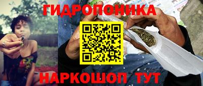 spice Обь