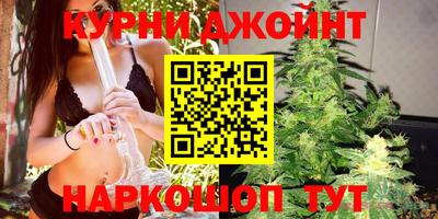 прущие грибы Обнинск