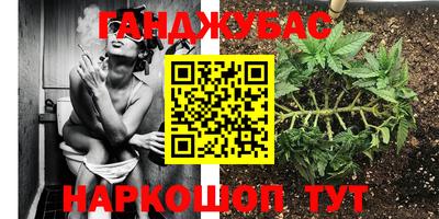прущие грибы Обнинск