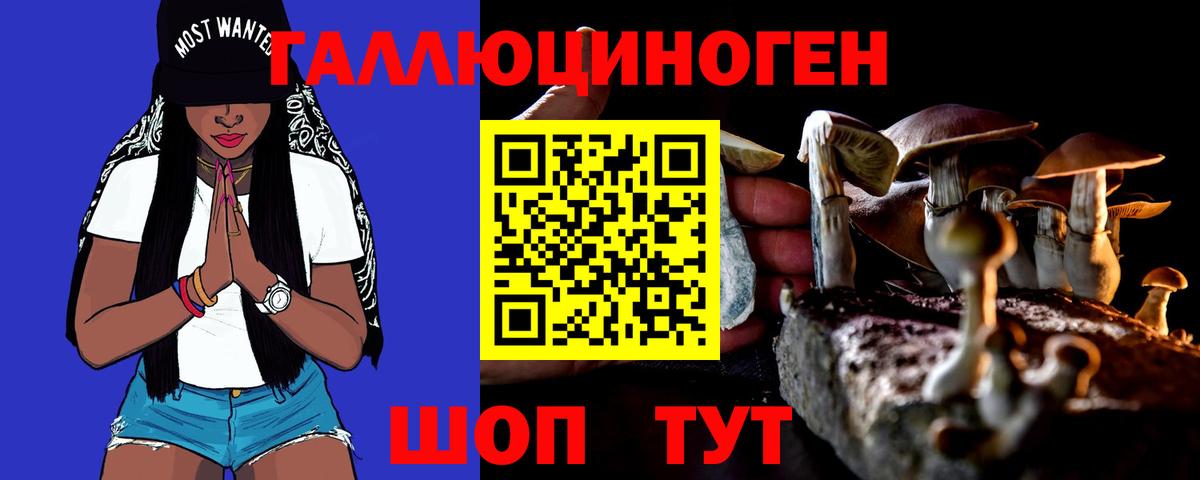 Псилоцибиновые грибы Psilocybine cubensis Ртищево